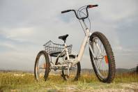 Terenny tricykel BIAN